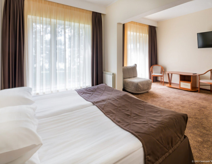 Стандарт Комфортный 2-местный корп.Ривьера - Санаторий «Красная Талка»