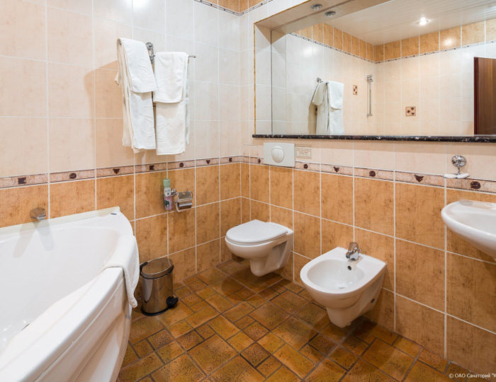 Стандарт Комфортный 2-местный корп.Ривьера - Санаторий «Красная Талка»