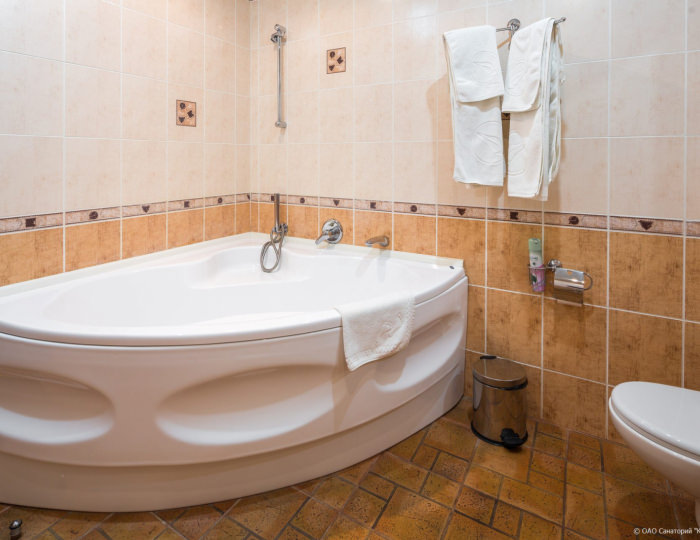 Стандарт Комфортный 2-местный корп.Ривьера - Санаторий «Красная Талка»